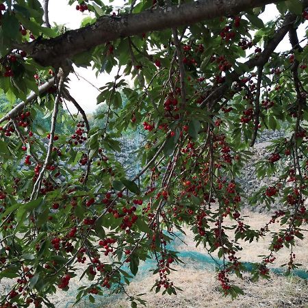 Alle Pendici Dell'Etna Ragalna Εξωτερικό φωτογραφία