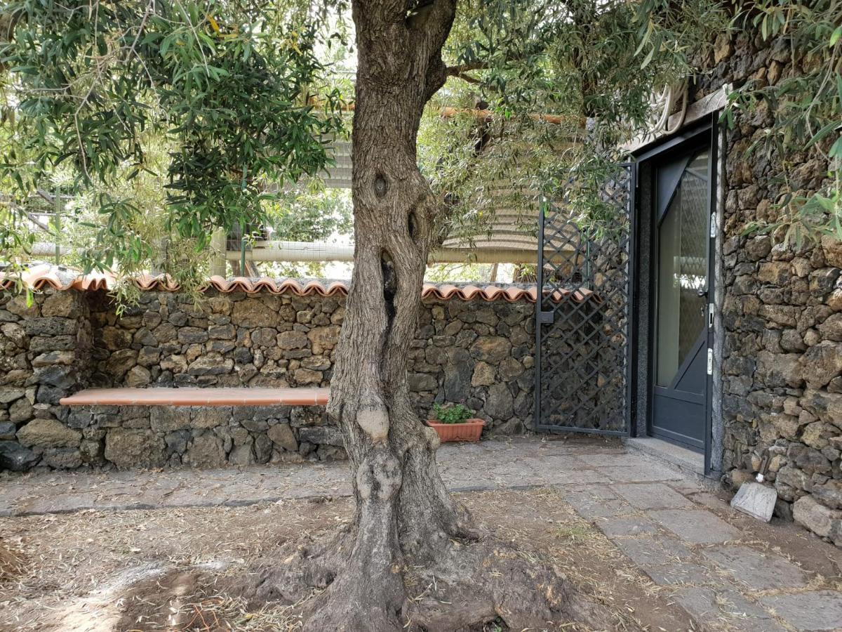 Alle Pendici Dell'Etna Ragalna Εξωτερικό φωτογραφία