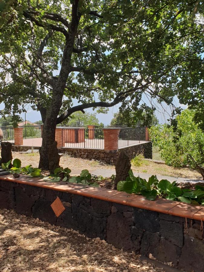 Alle Pendici Dell'Etna Ragalna Εξωτερικό φωτογραφία